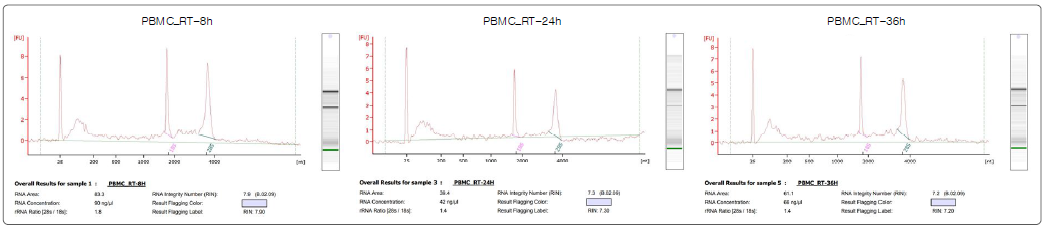 전혈 실온부관 조건별 분리된 Total RNA 분리 QC 결과