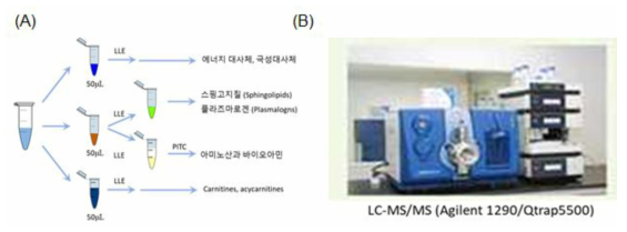 (A) 사람 혈장내 대사체 분석을 위한 시료의 준비 과정 (B) 표적 대사체 분석 장비