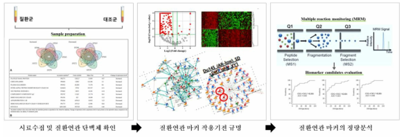 단백체 연구분석 모식도