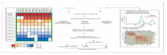 JTI 알고리즘 기반 유전체 예측 데이터 (Zhou et al, 2020)