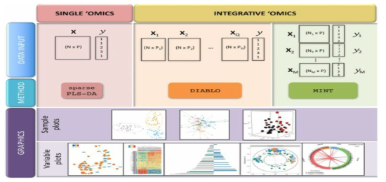 Overview of mixOmics