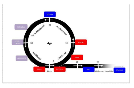 EXPOsOMICS framework