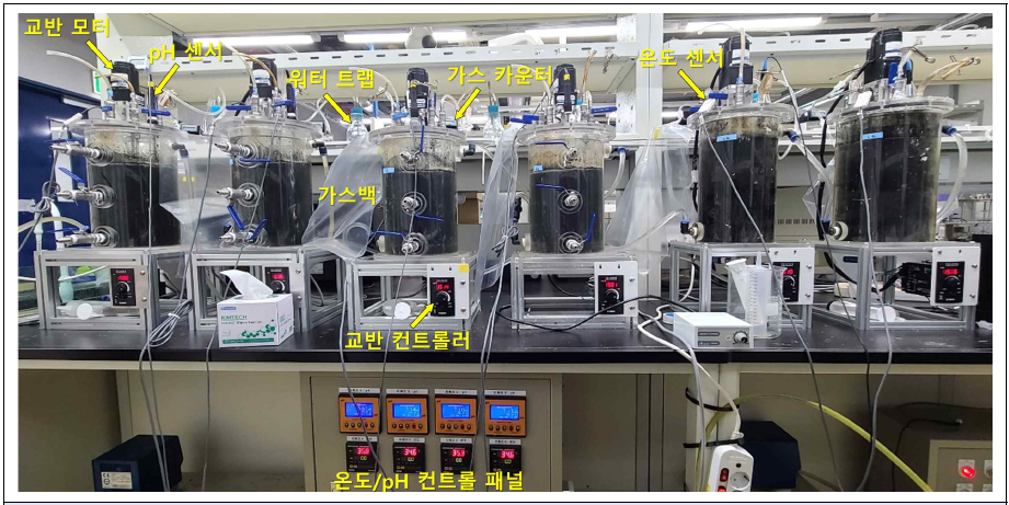 실험실 규모 연속식 혐기소화조