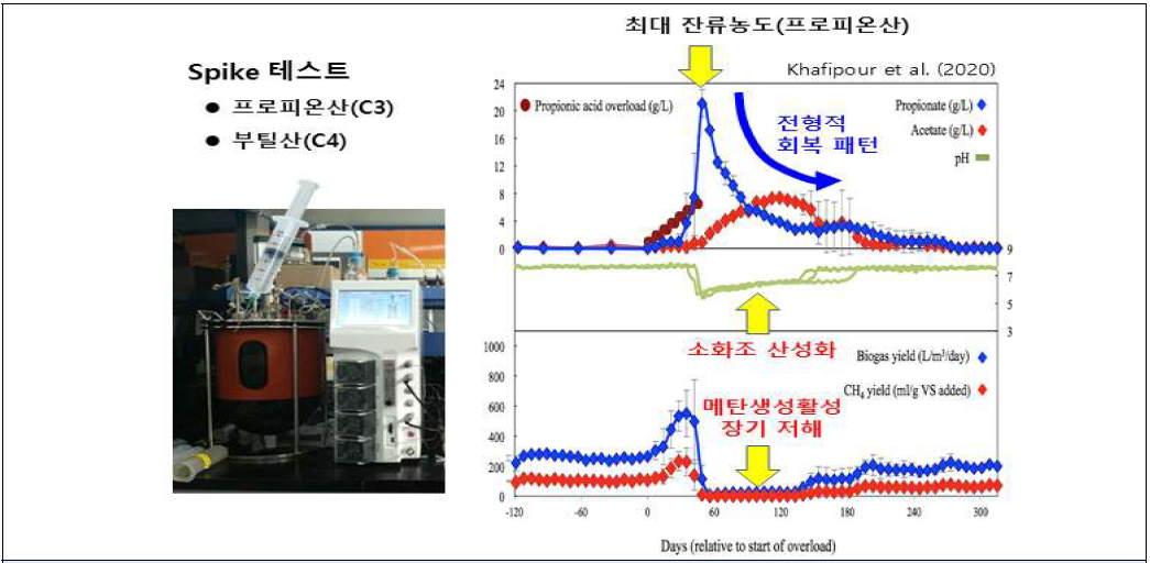 SMA 테스트를 이용한 프로피온산과 부틸산 분해능 평가