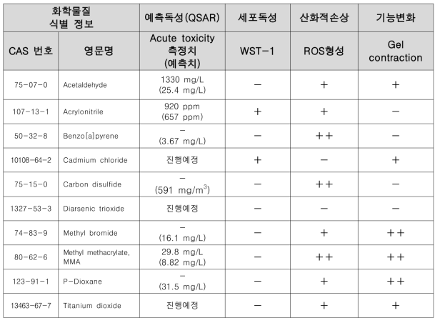 예측독성 및 In vitro 종합결과