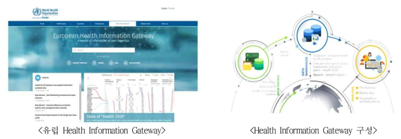 유럽 Health Information Gateway