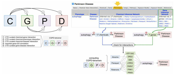 CGPD-tetramer framework