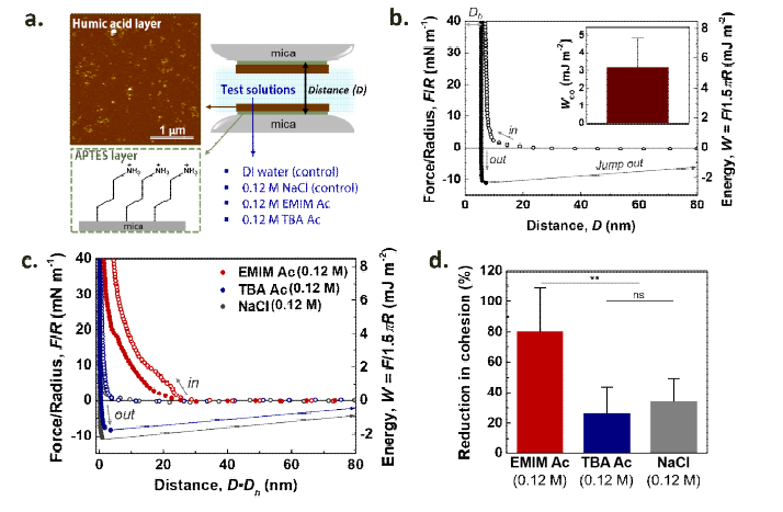 (a) 표면힘측정기 실험 모식도, (b) 증류수 주입하에서의 휴믹산 표면 사이의 상호작용력 측정 결과, (c) 세정후보용액 및 염 대조용액 주입 후 휴믹산 표면 사이의 상호작용력 측정 결과, (d) 증류수 조건 대비 후보용액 및 염 대조용액 주입 후 휴믹산 표면 사이의 상호작용력 감소 비율