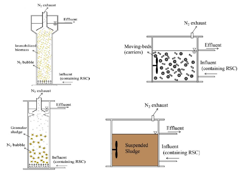 Reduced sulphur compounds(RSC, 용존성 HS−, S0, S2O3 2−)를 이용한 반응기