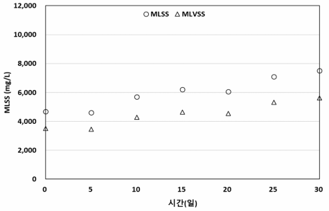 운전 중 활성슬러지(MLSS) 농도
