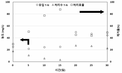 원수 및 처리수 질소 농도