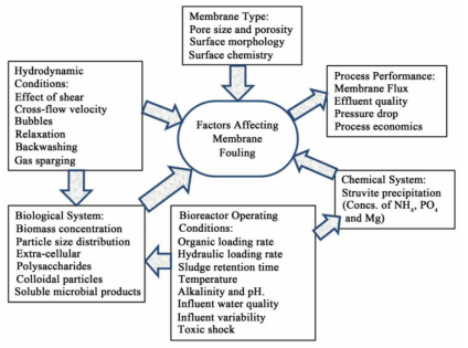 혐기성 MBR 공정 효율성에 영향을 미치는 영향인자 및 상호작용(출처 : D.C. Stuckey, Bioresource Technology, 2012, 122, 137-148)