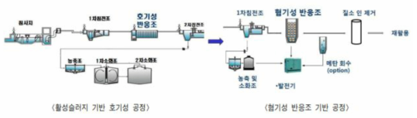 호기성 및 혐기성 공정의 비교