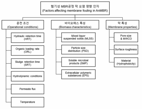 혐기성 MBR 공정 운전조건, 바이오매스 특성 및 막 특성에 따른 막 오염 영향인자