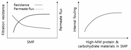 AnMBR 공정 soluble microbial products (SMP)에 따른 막 오염 경향(변화 패턴 및 스케일은 공정 바이오매스 특성에 따라 달라질 수 있음)