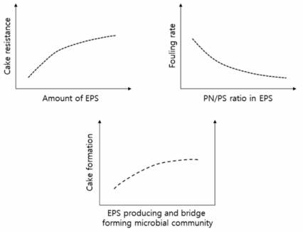 nMBR 공정 extracellular polymeric substances (EPS)에 따른 막 오염 경향 (변화 패턴 및 스케일은 공정 바이오매스 특성에 따라 달라질 수 있음)