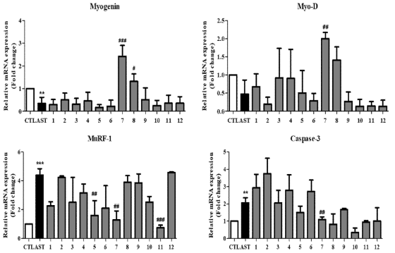 Effects of extracts on mRNA expression on Atrovastatin-induced muscle atrophy in C2C12 myotubes