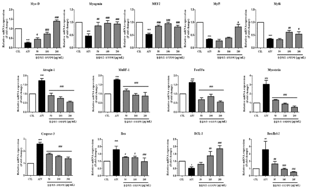 Effects of no. 8 extracts on mRNA expression on Atrovastatin-induced muscle atrophy in C2C12 myotubes