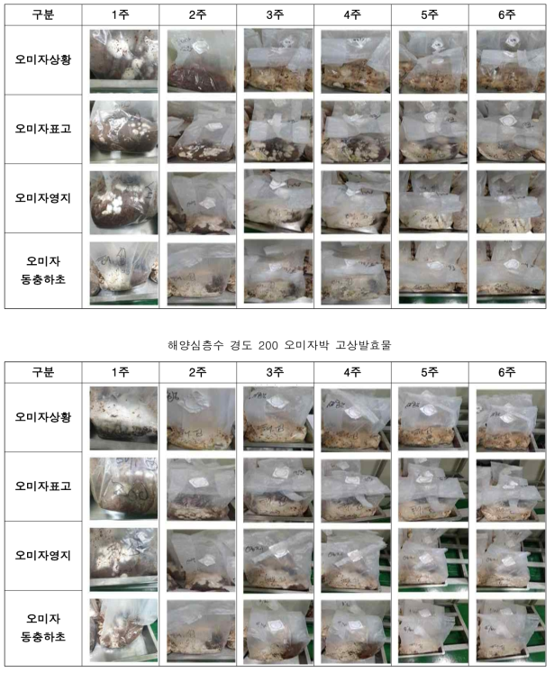 해양심층수 경도 100 오미자박 고상발효물