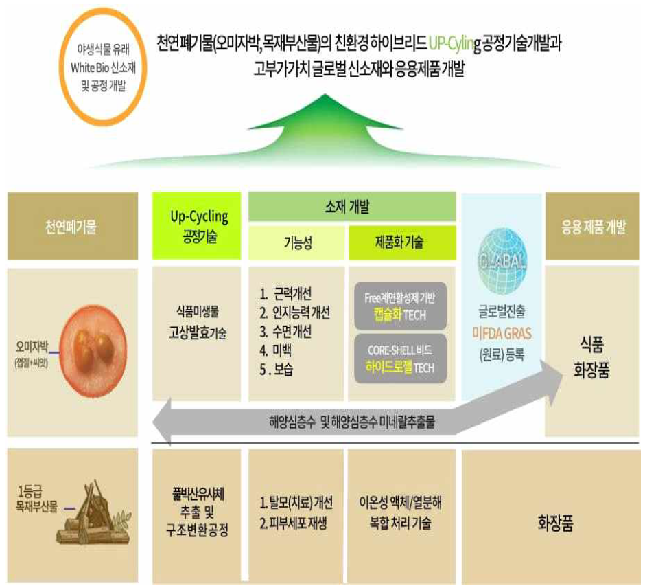 총괄 연구개발의 개요도