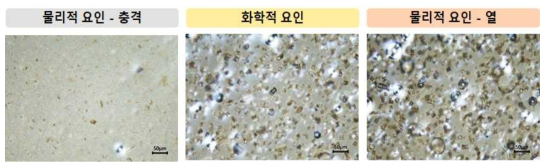 다양한 요인 고려한 규조류 파쇄 실험