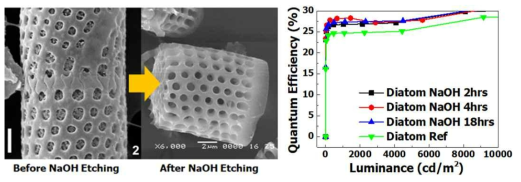 NaOH 에칭을 통한 규조류 다공성 극대화 (좌측), 적용 결과 (우측)