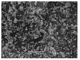 규조토 분쇄 후 SEM 이미지