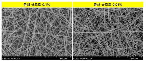 분쇄 규조토를 이용한 나노파이버 필름 SEM 이미지