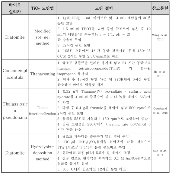 바이오 실리카 표면에 대한 TiO2 도핑 방법