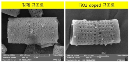 규조토 및 TiO2 도핑 규조토 SEM 이미지