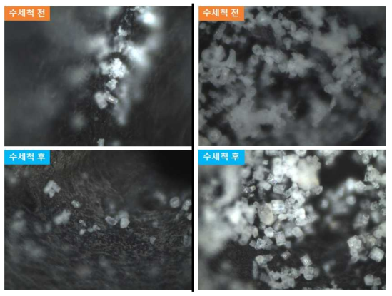 부착 및 수세척 후 광학 현미경을 통해 확인된 습식 부착방법 (좌), 건식 부착방법 (우)