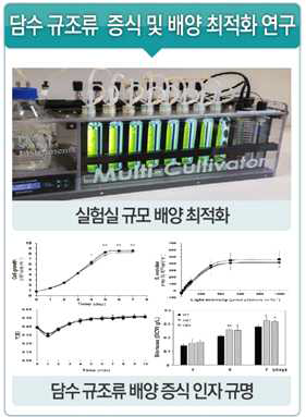 규조류 배양 주요 증식 촉진 인자를 규명 예시