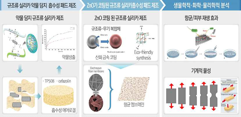 2차년도 창상피복재 개발 전략