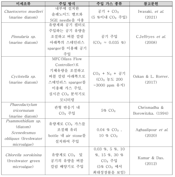 미세조류 종에 따른 CO₂주입 방식 및 주입 가스 종류