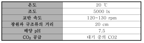 규조류 배양 조건