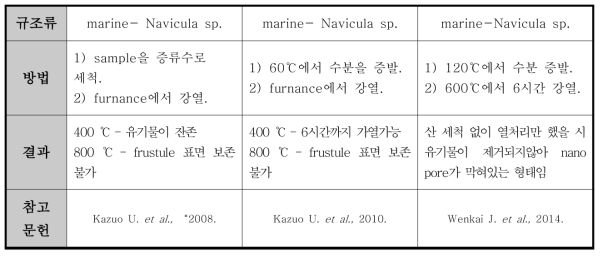 Frustule 표면에 미치는 온도의 영향