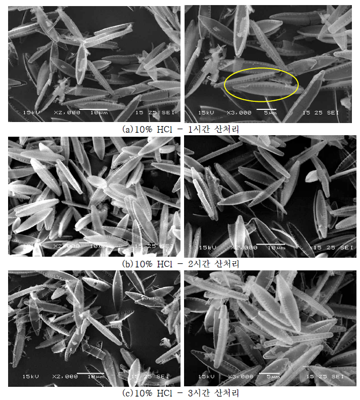 바이오실리카 추출 결과 SEM 사진 (10 % HCl, (a)1시간, (b)2시간, (c)3시간)