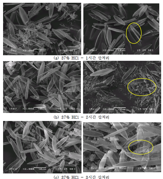 그림 바이오실리카 추출 결과 SEM 사진 (37 % HCl, (a)1시간, (b)2시간, (c)3시간)