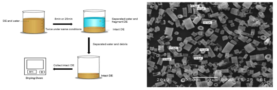 자연침강법 기반의 DE 정제 과정과 수득한 DE