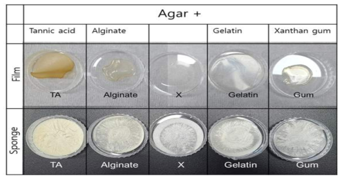 agarose와 다양한 바이오 폴리머간의 조합