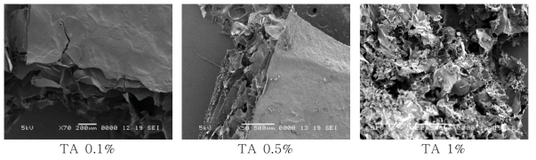TA 농도에 따른 agarose-alginate 스펀지 구조 비교