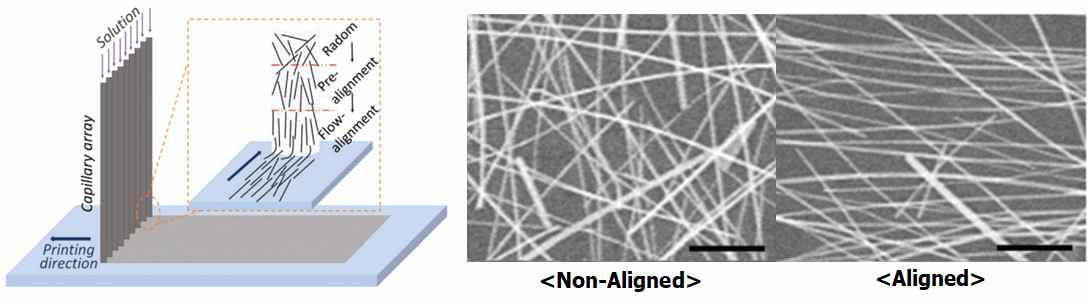 은 나노 와이어 정렬 선행 연구(Mater, 2016)