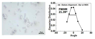Bar Coating 및 MEK 분산제를 이용한 규조류 정렬 결과