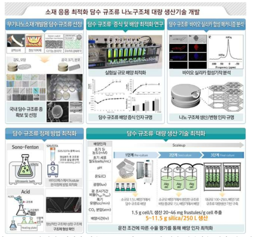 소재 응용 최적화 담수 규조류 나노구조체 대량 생산기술 개발 연구개요