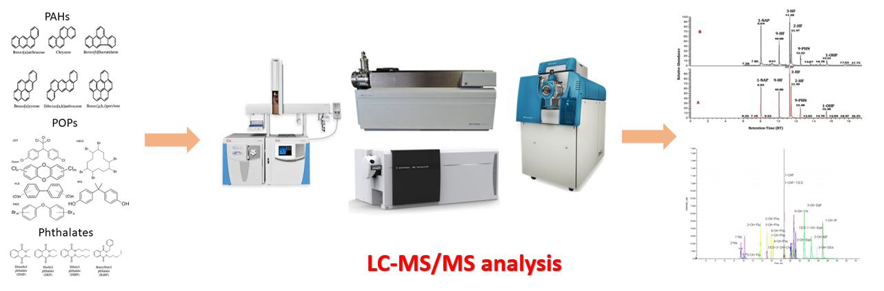 질량분석장비를 활용한 환경유해인자 대사체 분석 방법 개발