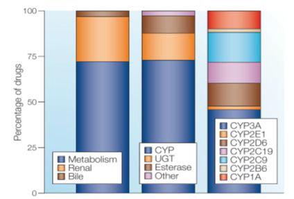 Role of Phase I and II enzymes in xenobiotic metabolism (Nature Reviews Drug Discovery, 2005;4:825)