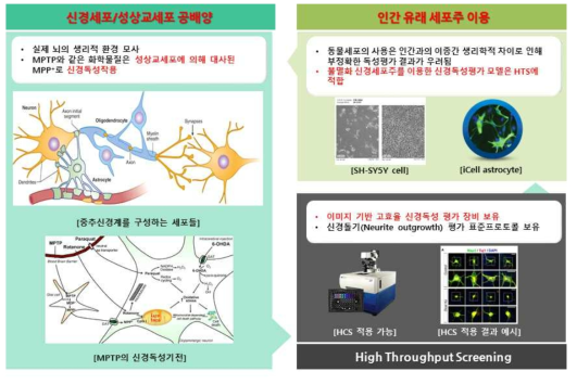 ‘성상교세포-신경세포 공배양 모델’을 적용한 환경유해인자(대사체) 신경독성평가