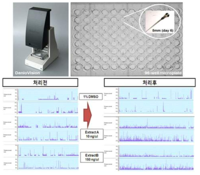 뇌전증 및 운동장애 유발 관련 스크리닝의 모식도 (발생 5-6일째)