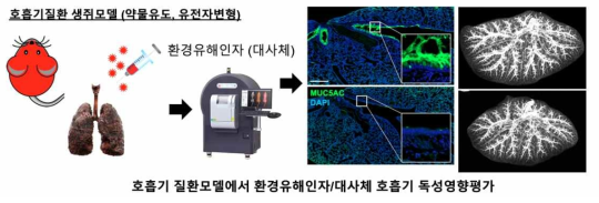 질환생쥐모델 기반 환경유해인자 독성영향평가