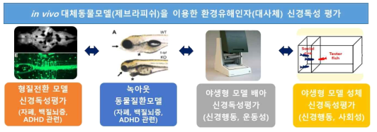 대체질환동물모델을 이용한 신경독성영향평가